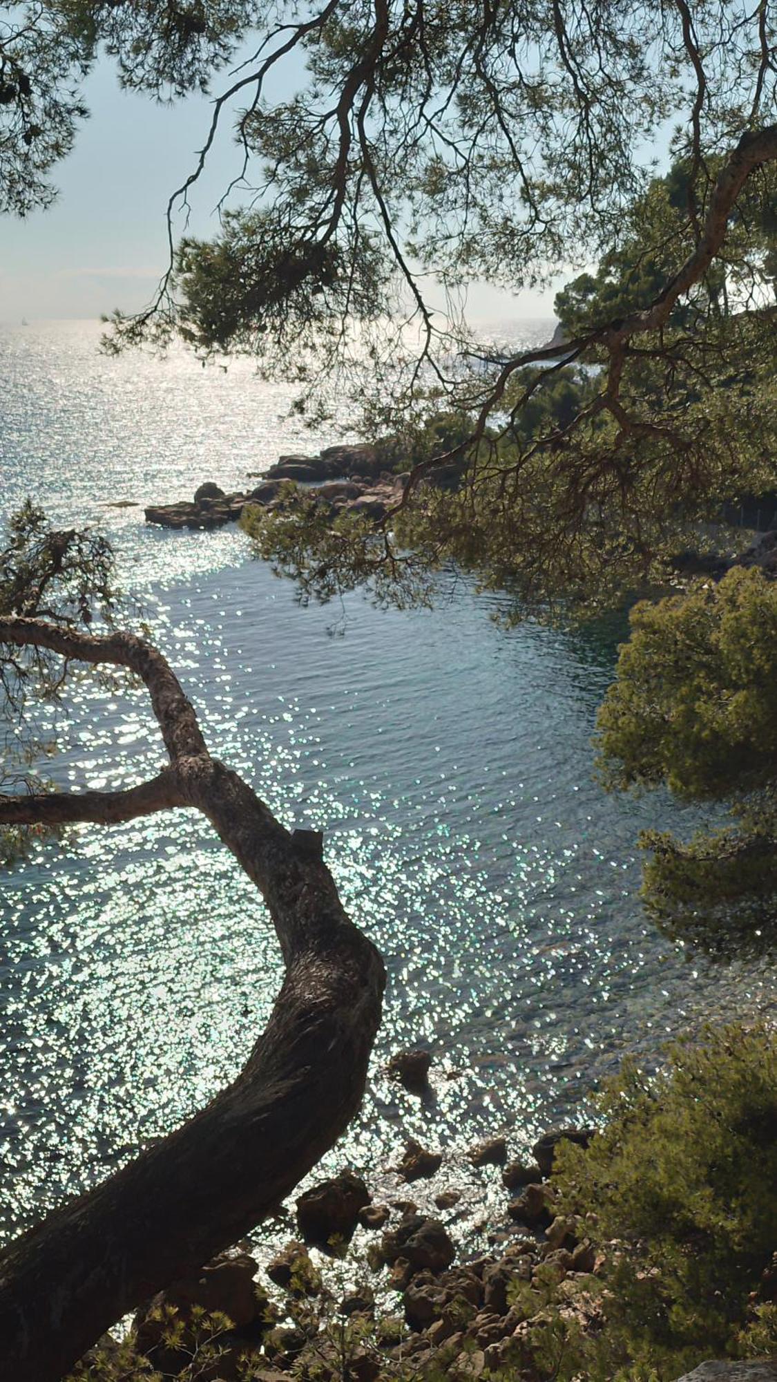 Les Pieds Tanques - Chambres D'Hotes - Calanque A Pieds Saint-Cyr-sur-Mer Zewnętrze zdjęcie